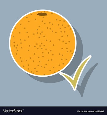 Orange whole of orange vector image