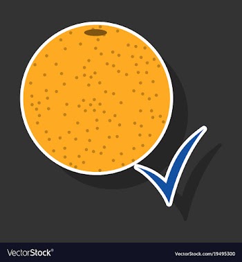 Orange whole of orange vector image
