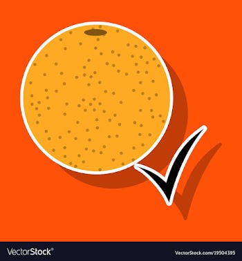 Orange whole of orange vector image
