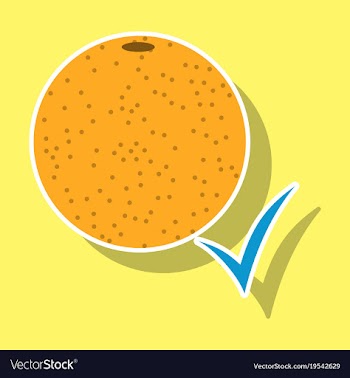 Orange whole of orange vector image