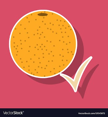 Orange whole of orange vector image