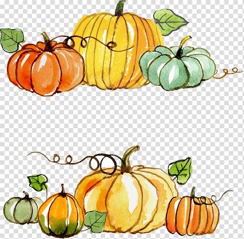 Orange, yellow, and green pumpkins illustration, Thanksgiving Gratitude Gift , Thanksgiving pumpkin painted material transparent background PNG clipart
