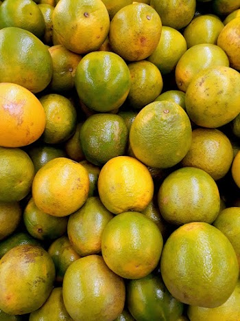Oranges 