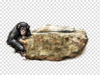 Orangutan PNG Picture