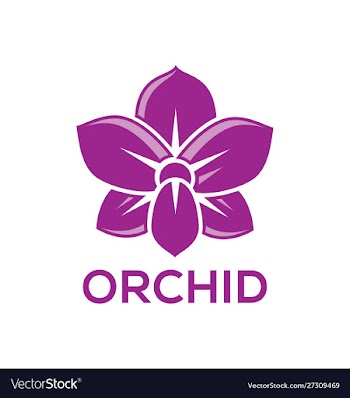 Orchid flower isolated on white background vector image