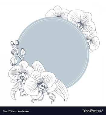 Orchid Phalaenopsis Flower Branch Bouquet Wreath Vector | SHOPATCLOTH