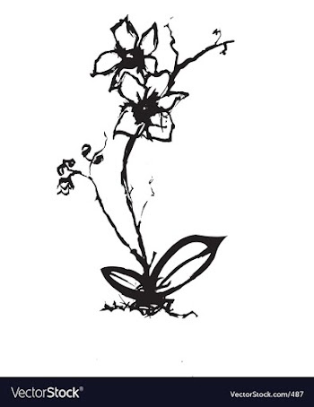 Orchid vector image