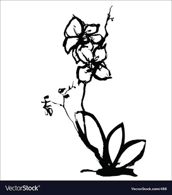 Orchid vector image