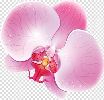Orchids Drawing Flower Watercolor painting , orchid transparent background PNG clipart