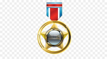 Order Medal - Five Star medal 