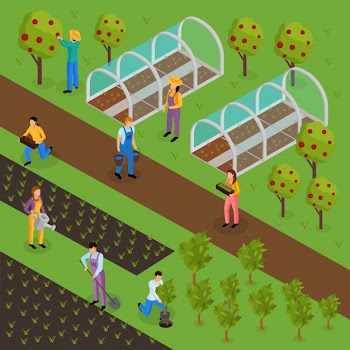 Ordinary farmers life isometric composition with human characters of greensmen in uniform with plants and hothouse Free Vector