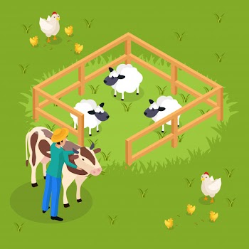 Ordinary farmers life isometric with cattle and farm animals sheepfold and human character embracing cow illustration Free Vector
