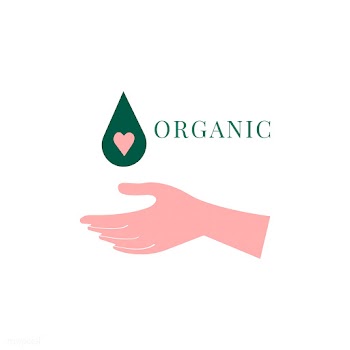 Organic and natural beauty logo design | Free stock vector - 473122