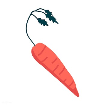 Organic carrot in orange vector | Free stock vector - 538019