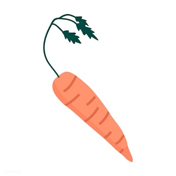 Organic carrot in peach vector | Free stock vector - 537992