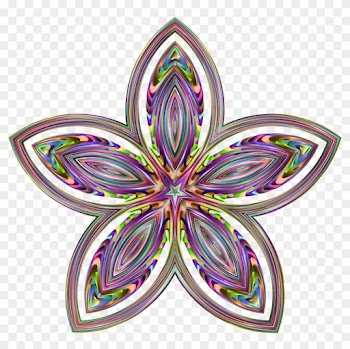Organic Floral Star - Prismatic Ornamental Frames Png