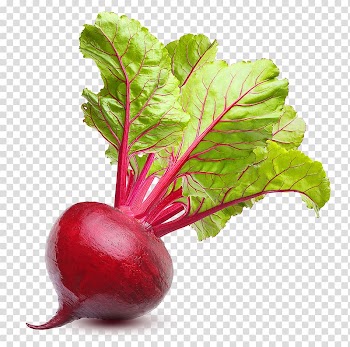 Organic food Beetroot Sugar beet, vegetable transparent background PNG clipart