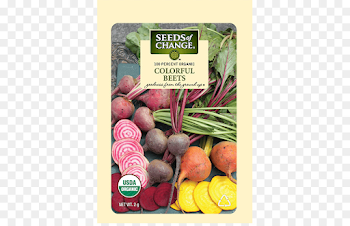 Organic food Common beet Vegetable Seed - vegetable png download ...