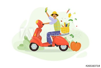Organic food concept