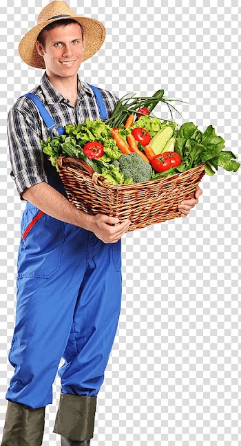 Organic food Farmer Agriculture Vegetable farming, vegetable transparent background PNG clipart