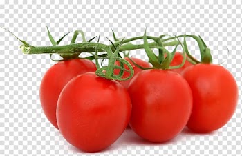 Organic food Fruit Vegetable Tomato, Tomato with leaves transparent background PNG clipart