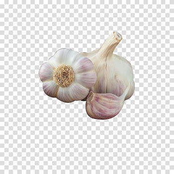 Organic food Garlic Vegetable Fruit, Organic vegetables Garlic transparent background PNG clipart
