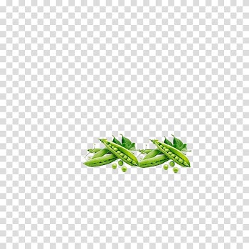 Organic food Green Vegetable Pea, Pea green vegetables organic vegetables transparent background PNG clipart