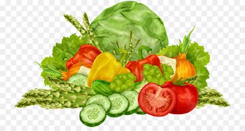 Organic food Leaf vegetable Fruit - Rich vegetables 