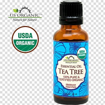 Organic food Organic certification United States Essential oil, tea oil transparent background PNG clipart