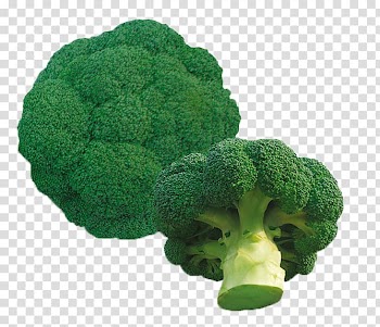 Organic food Seed Vegetable Broccoli Okra, Fresh and healthy broccoli transparent background PNG clipart