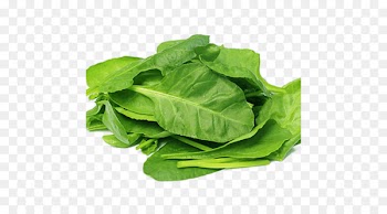 Organic food Spinach salad Nutrient Leaf vegetable - spinach 