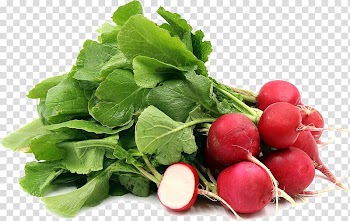 Organic food Vegetable Daikon Seed, vegetable transparent background PNG clipart