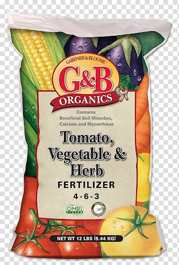 Organic food Vegetable Vegetarian cuisine Tomato, vegetable transparent background PNG clipart