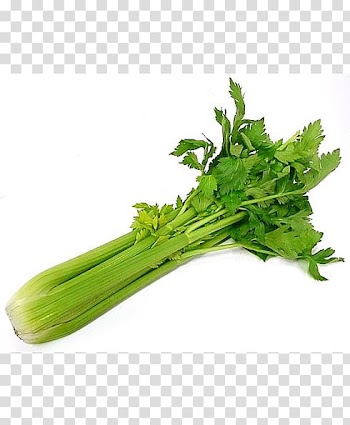 Organic food Vegetarian cuisine Celery Vegetable, vegetable transparent background PNG clipart