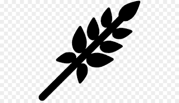 Organic food Vegetarian cuisine Cereal Computer Icons - vegetable ...