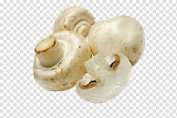 Organic food Vegetarian cuisine Vegetable Mushroom, vegetable transparent background PNG clipart