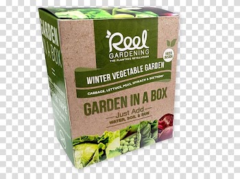 Organic food Winter vegetable Herb, herb garden transparent background PNG clipart
