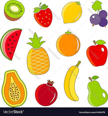  					Organic fresh fruits and berries outline icons vector image														