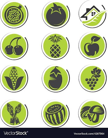 					Organic icon set volume 2 vector image														