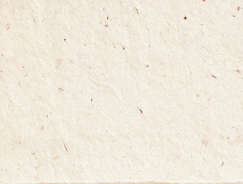 Organic Off-White Recycled Paper Texture