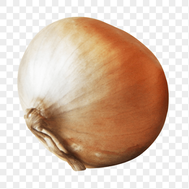 Organic onion png sticker, transparent | Free PNG - rawpixel