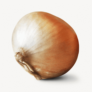 Organic onion, vegetable isolated image | Free PSD - rawpixel