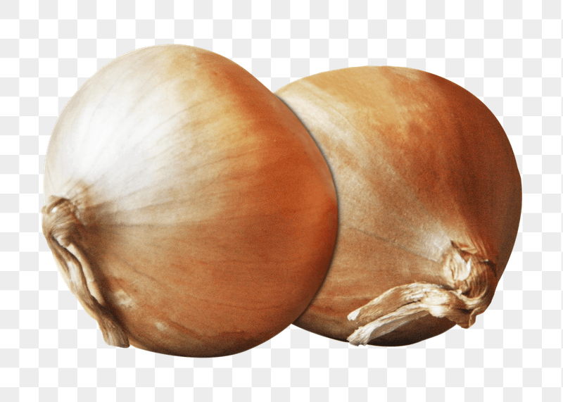 Organic onions png sticker, transparent | Free PNG - rawpixel