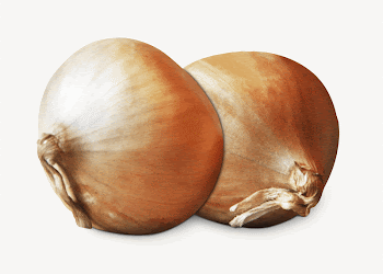 Organic onions, vegetable isolated image | Free Photo - rawpixel