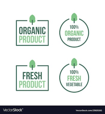 Organic product vegetable fresh vector image