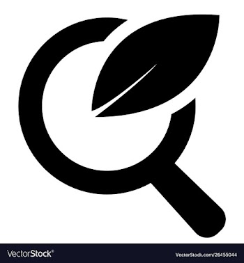 Organic search icon vector image