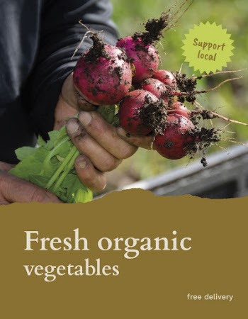 Organic vegetables flyer template, promotion | Free Vector Template - rawpixel