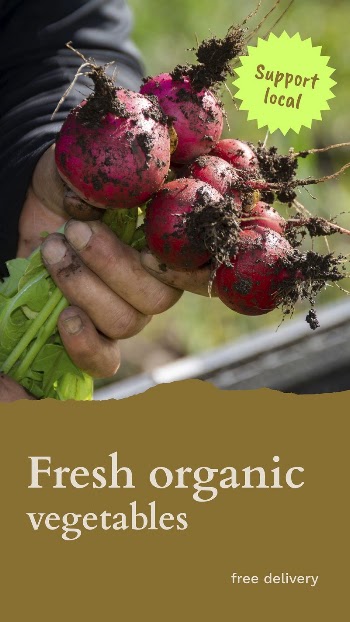 Organic vegetables Instagram story template, | Free Vector Template - rawpixel