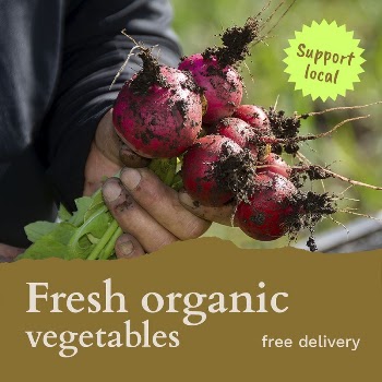 Organic vegetables template social media | Free PSD Template - rawpixel