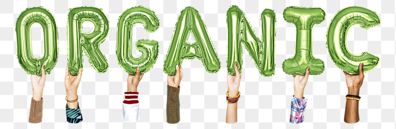 Organic word png, hands holding | Free PNG - rawpixel